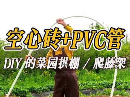 空心砖+PVC管、DIY的菜园拱棚、爬藤架 #热点 #规划设计 #菜地 #DIY #空心砖