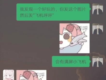 《飞机呼呼》#聊天记录 #表情包 #套路聊天