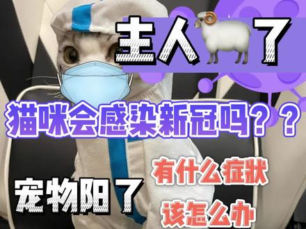 猫咪会得新冠吗?会!!新冠对猫咪有什么影响?治疗方案是什么?@DOU+小助手 @抖音小助手 @抖音创作者中心 @抖音服务中心 #新手养猫 #猫 #宠物知识 #宠物新冠