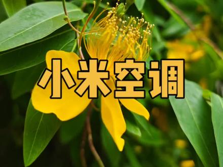小米空调装不过来了#小米空调 #好家电改变生活