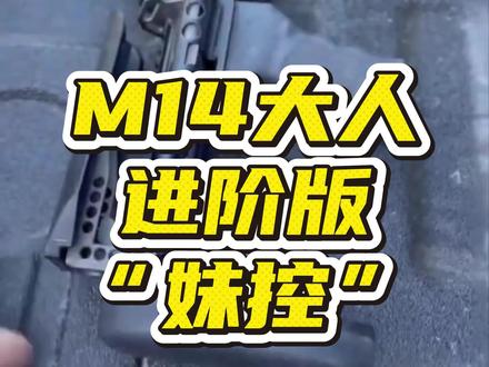 比M14大人更强的“妹控”是哪一把枪? #军迷发烧友 #军事科普 #武器科普 #三角洲行动#暗区突围