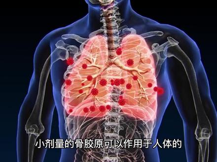 骨胶原的作用#健康知识#骨质疏松