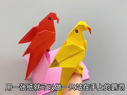 用一张纸就可以做一只站在手上的鹦鹉,也太可爱了吧!#折纸 #折纸教程 #手工 #鹦鹉 #手工折纸