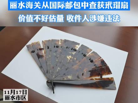 丽水海关从国际邮包中查获玳瑁扇!收件人涉嫌违法!你知道玳瑁价值多少吗?#玳瑁#没有买卖就没有伤害 #丽水 #海关
