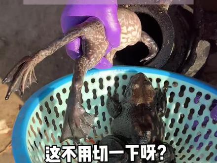 街头偶遇特色崩牛蛙!这味道也太特别了! #美食#路边摊#崩牛蛙