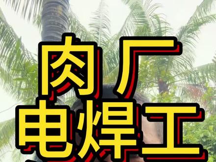 澳洲482肉厂和电焊怎么选?老叶说是自己的看法
#澳洲肉厂 #澳洲电焊工 #澳洲拖车厂 #澳洲482雇主担保