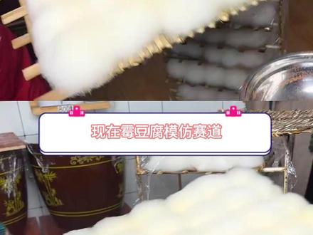 我也想做霉豆腐 #霉豆腐 #霉豆腐制作 #搞笑 #实操