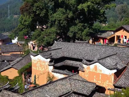 松阳杨家堂村 这应该是松阳最火的古村落了#旅行推荐官 #自驾游#江浙沪周边游 #浙江文旅宣推官 #周末时光