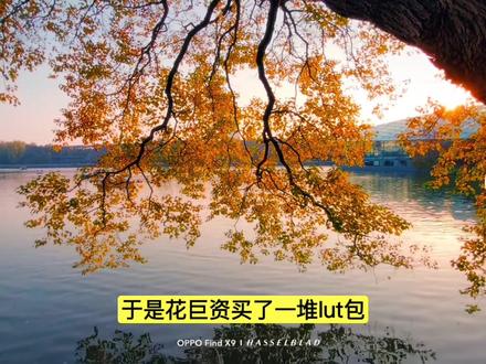 谁还去评论区求人的,白嫖的OPPOlut
不香吗#OPPOlog#log视频
#OPPOlut教程