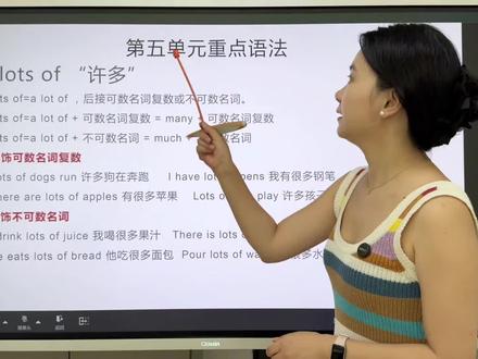 译林三年级下册第五单元语法lots of复习#译林三下#江苏小学英语#译林三年级下册#译林#译林英语