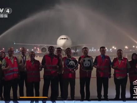 【抵达!“辰星”“晓月”:中马大熊猫合作新篇章】 大熊猫“辰星”“晓月”于11月18日晚,搭乘专机抵达马来西亚首都吉隆坡,开启新一轮的为期十年的中马大熊猫保护合作研究。为迎接这对友好使者,机场举行了水门礼,祝福两只大熊猫旅马生活一切顺利!