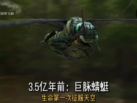 生物历史年表,从月球诞生到人类文明,献给每一位存在过的生灵,感受地球46亿年的奇迹! #科普 #涨知识 #探索地球 #史前星球 #古生物 #史前巨兽#生物大灭绝