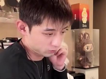 一只球拍惹的祸,深度解析樊振东为何不敌勒布伦兄弟 #乒乓球 #樊振东 #体育