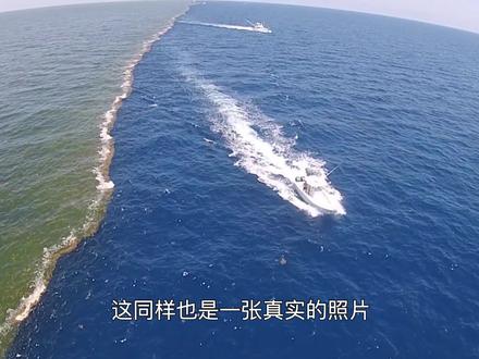 黄海、渤海相邻却不相容?分界线两侧颜色“泾渭分明”,咋回事?