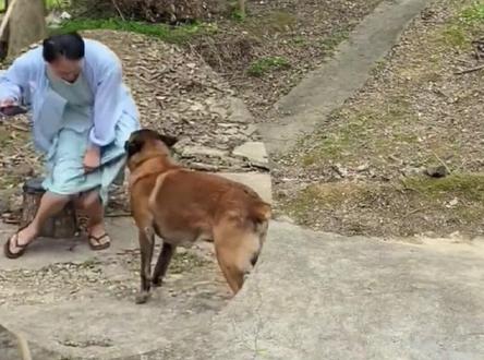 小狗真的会预知危险,所以当小狗突然变得不一样的时候,它可能是在提醒你有危险即将发生,世界如果上没有小狗可怎么办啊#小狗 #温暖 #治愈 #感人 #泪目瞬间 #预知危险