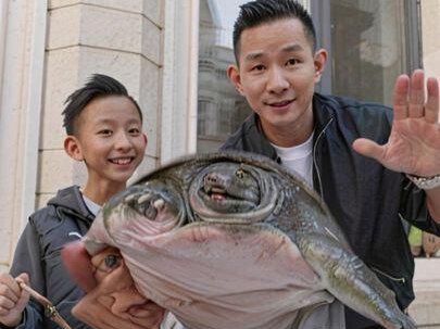 春节期间,可以做个霸王鳖鸡。真的超好吃!不知道吃啥?快来试试,巨香巨上头,好吃到舔盘😋 #甲鱼 #红烧甲鱼 #霸王鳖鸡 #杨建平