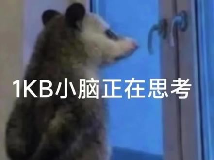 说一下这几款三千元左右手机的使用感受:
荣耀WinRT:同价位独一份的1万毫安时电池,续航碾压同级别所有机型,适合重度游戏或者外勤用户首选,配有涡轮散热,砍掉了长焦镜头,远景拍摄能力弱,如果你日常以拍照为主,这款完全不适合你。
vivo S60:轻薄影像神机、颜值手机,4K全链路Live影像,拍人像实况、氛围感照片确实很出片,但是芯片性能略低,但是这个价格只买个影像机有点不划算,不适合重度游戏,只适合拍照的宝子。
红米K90 Max:游戏旗舰标杆,硬核性能,也有主动散热风扇,电池也够大有8550毫安时,追求极致游戏体验的宝子可以入,人像、暗光拍摄表现有点逊色,但是也过得去,没有那么多槽点。
iQOO Z11 Turbo:中端走量机,性能跟旗舰机有一拼,性能出色的同时,最基础的版本价格确来到了2300元,有点香了,价格非常亲民,影像功能差点意思,但是玩游戏绝对够用,需要注意的是没用ip68防水,日常使用需要注意防水防摔。
荣耀600 Pro:这款机子官方给它的定位是均衡旗舰机,但是600 Pro 直接换成天玑 8550E芯片,跑分只能在220w左右,512的价格却到了4000多,没有一点诚意,发热锁帧严重,8000 尼特峰值亮度仅能维持 3 分钟,高温、强光户外会主动压亮度,户外用手机的宝子慎选,功耗高,高负载耗电速度快,如今 3000 档机型普遍金属中框,该机使用塑料中框,质感、抗刮、散热都弱一档,拉低整机档次感,整体体验拉完了,喜欢这款手机的宝子三思啊!
有想换手机拿不定主意的宝子可以说一下需求,我来帮你选!#荣耀winrt #红米K90max #iqooz11turbo #vivos60 #荣耀600pro