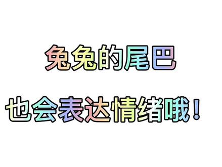 兔兔的尾巴也会表达情绪哦!#兔兔🐰 #兔兔这么可爱 #宠物兔