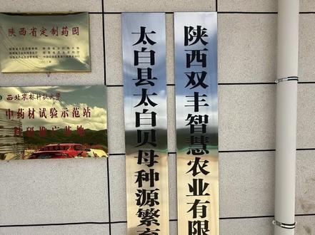 双丰农业太白贝母种植基地