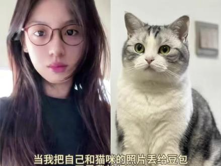 权威还得是豆包啊!和猫咪合照ai指令教程来啦!太可爱了也!#豆包ai#和猫咪合照 #和萌宠合照 #豆包P图指令 和自家萌宠合照 和猫猫合照