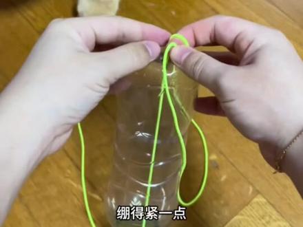 0元自制一个猫咪漏食玩具#自制玩具 #猫咪#科学养宠