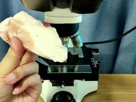 家人们爱吃肥肉吗? #显微镜 #显微镜下的世界 #肥肉