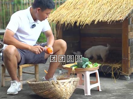 #抖音美食创作人 #南方的朋友不用回避 今天狗狗原来的主人找到了家里!我以为......