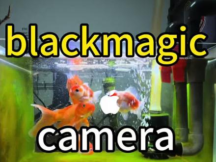 blackmagiccam使用教程,预判到你不会全屏!
#blackmagiccam使用教程 #blackmagiccamera调色 #blackmagic苹果拍视频软件 #blackmagiccamera