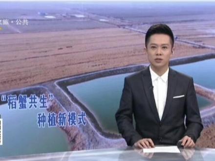 #上级媒体看冀州 河北电视台文旅公共频道《新闻6号线》栏目播出《衡水冀州:3000亩稻蟹共生新模式 走出乡村振兴新“稻”路》#河北冀州#本地新闻