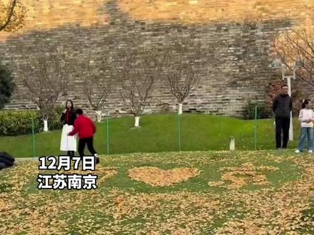 生活中的小美好!环卫大叔打造银杏落叶打卡点