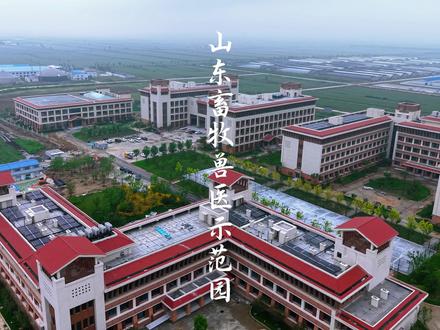 同学们 这次真的可以在学校养牛了#潍坊#山东牧院