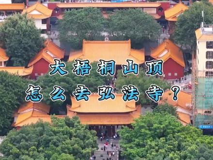 大梧桐山顶怎么去弘法寺?#梧桐山 #弘法寺 #仙湖植物园