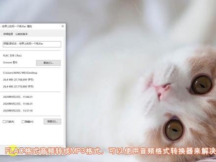 怎么把无损音频FLAC格式转成MP3格式? #无损音质 #mp3 #