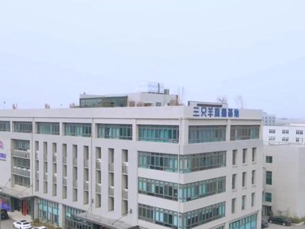 实拍小杨哥合肥直播基地,月赚1个亿花1亿买大楼,出门座驾1600万 #疯狂小杨哥 #合肥直播公司 #新媒体