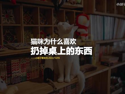 #创作灵感 猫咪为什么喜欢扔掉桌上的东西?#萌宠出道计划 #沙雕猫