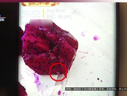 【在盒马买了火龙果,有虫子在动!顾客要求道歉】李先生反映,前几天在超市里买了一盒火龙果,切开后发现,里面有白白的东西在动。#1818黄金眼 #浙江dou知道 #媒体精选计划 #火龙果 #盒马