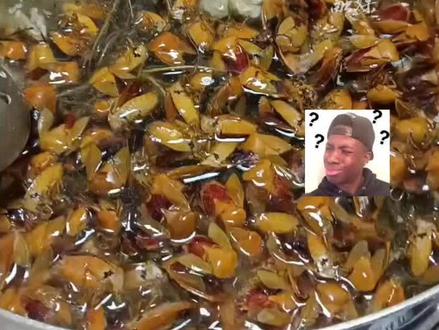 广东特色菜地胆头臭屁虫煲青头鸭,正!靓!祛湿汤,臭屁虫:都进化成这样了还能上桌 #地方菜 #大补 #万万没想到 #臭屁虫汤