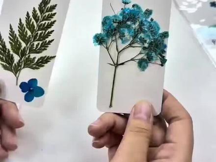 制作植物干花书签#手工作品 #手作diy #大学生创新创业项目