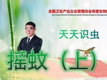 你知道这种蚊子出现得多说明水质较差吗?#有害生物防制 #科普 #创作灵感 #蚊子