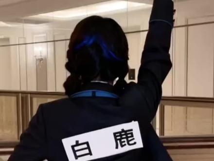 白鹿一款百分百真诚型艺人 #白鹿 #跑男 #奔跑吧