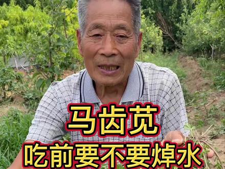 田间地头的马齿苋,又被称为金枝玉叶,你喜欢怎么吃呢?不过吃它的时候一定要焯水。#新农人计划2022 #来抖音学农技 #全国各地秀农技 #三农#我的乡村生活