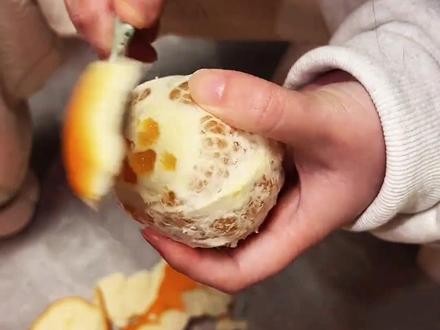 常见水果切法大合集,所有水果快速切法,正确切法,简单快速实用#切水果 #水果的正确切法 #水果的花样切法 #水果的正确打开方式 #水果