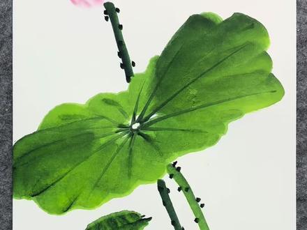春有百花,夏有荷#零基础学画画#方阳普国画#国画荷花#国画教程#好看的花一定要分享给你