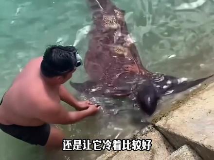 所以有些冷知识还是冷着比较好 #涨知识 #动物科普