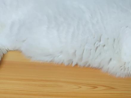分享小海牛教程#手工diy #光遇 #手工 #玩偶 #图纸