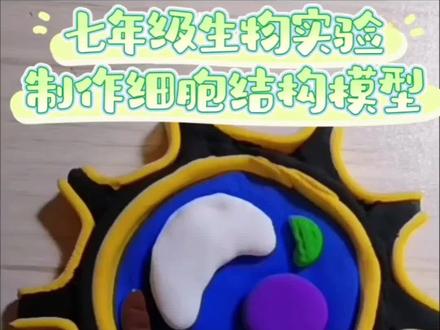 七年级生物实验制作细胞结构模型