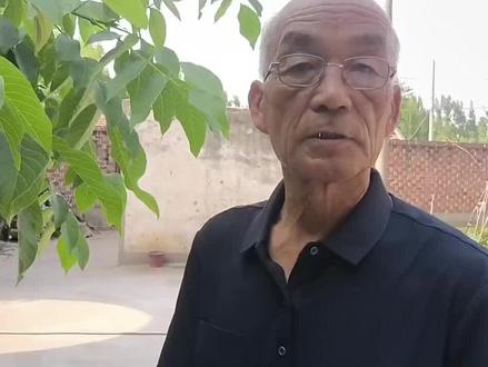 茄子的虫害有哪些,怎样防治。#茄子病虫害防治