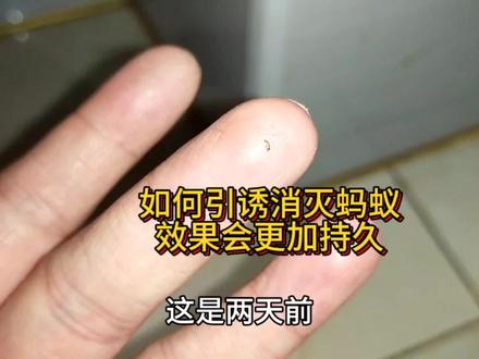 几块钱就能消灭蚂蚁的实操版来了。家里偶尔出现三五只蚂蚁,怎样准确找到他们的巢穴并消灭。详细版教程来了,由于蚂蚁较小视频像素不高,建议大家放大观看。在此声明,本人不卖相关货物,纯分享,理智观看#灭虫小妙招 #灭蚂蚁