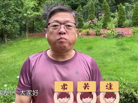佩洛西办公室被吸毒人群瘫痪,旧金山成为零元购天堂,白左猛于虎