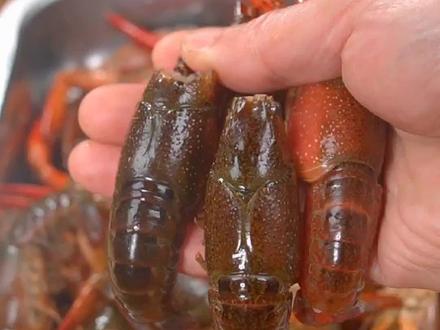 最正确清理小龙虾的方法是这样的,干净又卫生,记得保存哦~#小龙虾 #跟着抖音学做菜 #去虾线 #在家做美食